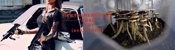 ALPHA PVP Медвежьегорск