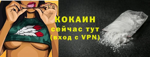 дмт Медногорск