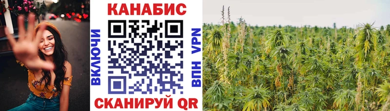 Канабис OG Kush  Купить где  Солнечногорск 